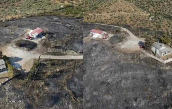 Θαύμα_Βόλο (1)
